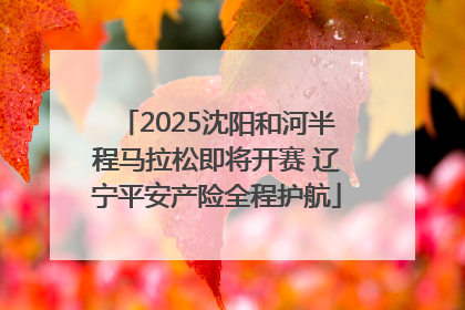 2025沈阳和河半程马拉松即将开赛 辽宁平安产险全程护航