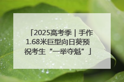 2025高考季｜手作1.68米巨型向日葵预祝考生“一举夺魁”