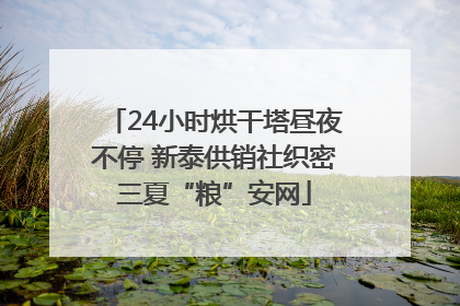 24小时烘干塔昼夜不停 新泰供销社织密三夏“粮”安网