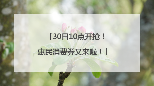 30日10点开抢！惠民消费券又来啦！