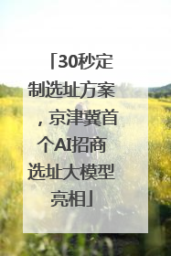 30秒定制选址方案，京津冀首个AI招商选址大模型亮相