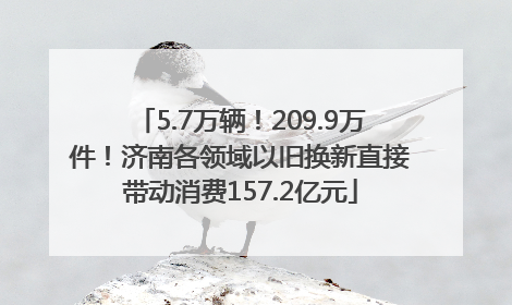 5.7万辆！209.9万件！济南各领域以旧换新直接带动消费157.2亿元