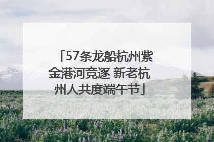 57条龙船杭州紫金港河竞逐 新老杭州人共度端午节