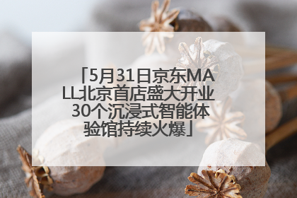 5月31日京东MALL北京首店盛大开业 30个沉浸式智能体验馆持续火爆