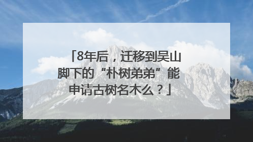 8年后，迁移到吴山脚下的“朴树弟弟”能申请古树名木么？