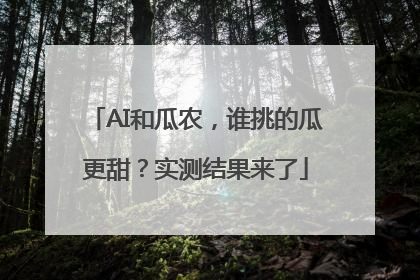 AI和瓜农，谁挑的瓜更甜？实测结果来了