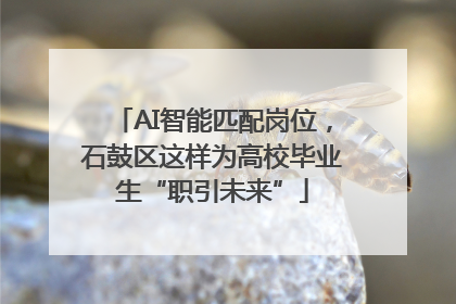 AI智能匹配岗位，石鼓区这样为高校毕业生“职引未来”