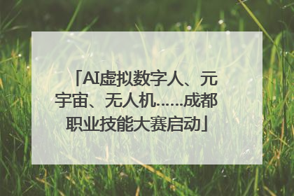 AI虚拟数字人、元宇宙、无人机……成都职业技能大赛启动