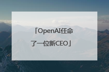 OpenAI任命了一位新CEO