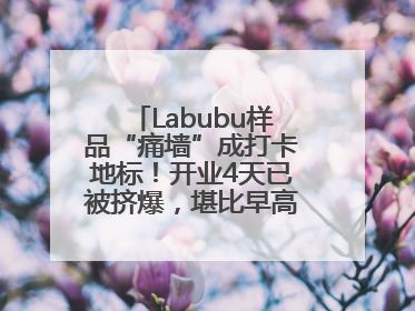Labubu样品“痛墙”成打卡地标！开业4天已被挤爆，堪比早高峰菜市场