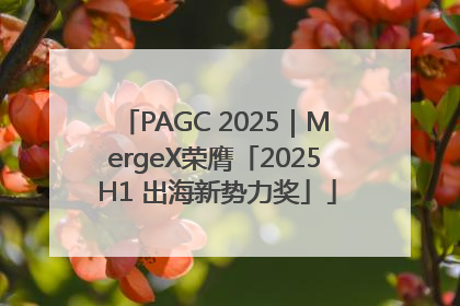 PAGC 2025｜MergeX荣膺「2025 H1 出海新势力奖」